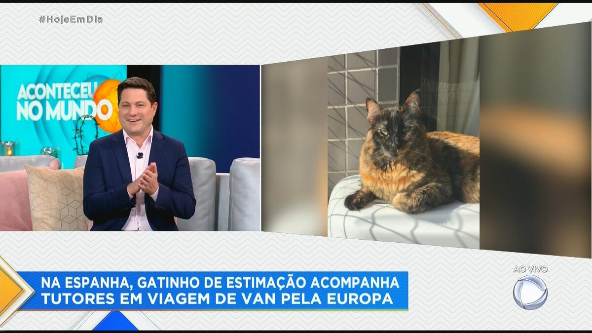 Divisão de tela mostra Eleandro Passia no cenário do Hoje em Dia e sua gata pepe, na casa da mãe do apresentador