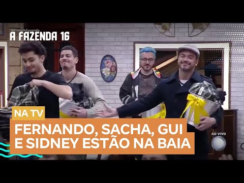 A Fazenda 16: Fernando, Sacha, Gui e Sidney descobrem que vão para a Baia e têm reação curiosa