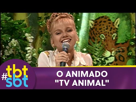 Clássico do SBT TV Animal trazia um mundo selvagem à telinha | tbtSBT