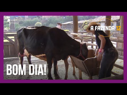 Lidi "conversa" com a vaca | A Fazenda 12