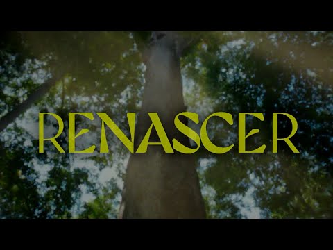 Renascer: a abertura da minha nova novela das 9! 🌱 | TV Globo