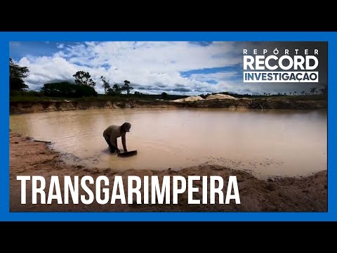 Repórter Record Investigação percorre a rodovia Transgarimpeira e mostra a rota do ouro ilegal