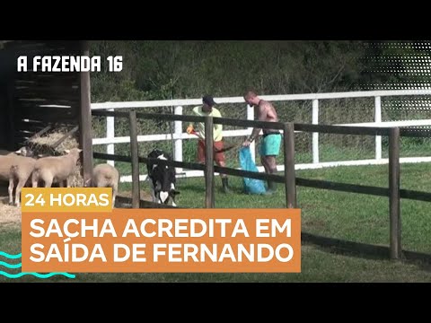 ‘Nessa Roça vai sair o Fernando com certeza’, palpita Sacha em papo com Yuri | A Fazenda 16