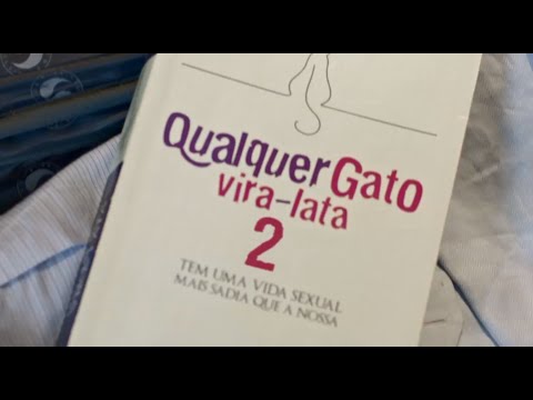 Qualquer Gato Vira-Lata 2 - Trailer Oficial