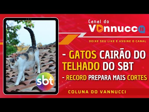 GATOS CAIRÃO DO TELHADO DO SBT. RECORD PREPARA CORTES. COLUNA DO VANNUCCI (29/11)