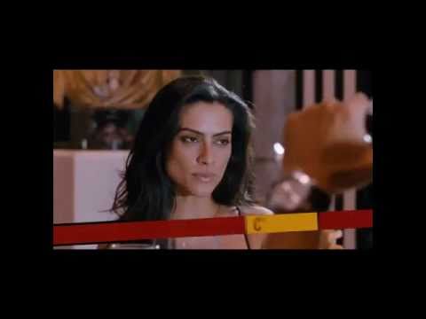 Qualquer gato vira-lata - Trailer Oficial