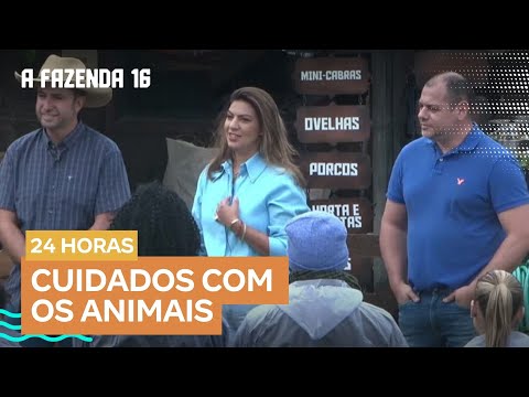 Aula para os peões: zootecnista ensina participantes de A Fazenda 16 a realizarem trato dos animais