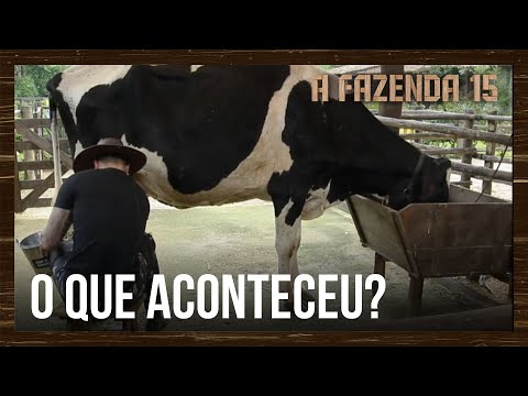 Jaquelline não aparece para cuidar da vaca e Lucas faz a função | A Fazenda 15