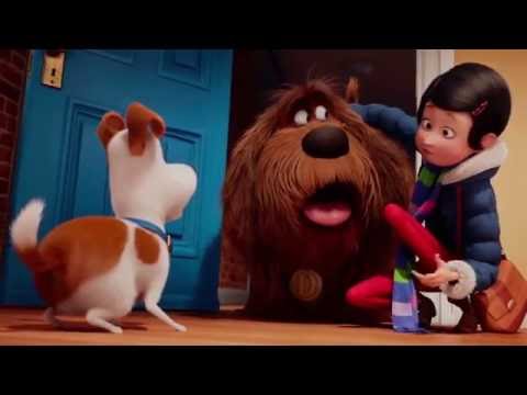 Pets - A Vida Secreta dos Bichos - Trailer Oficial 3 Dublado