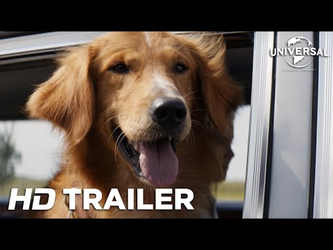 Quatro Vidas de Um Cachorro - Trailer 1