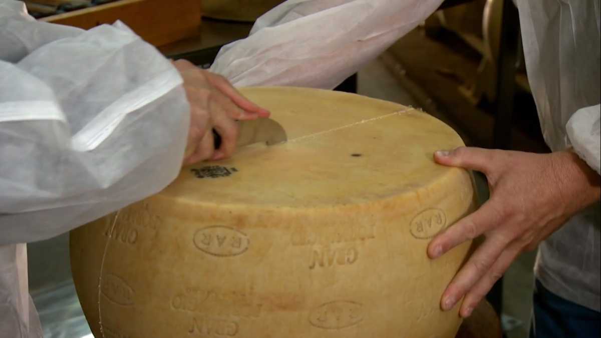 Queijo Grana Padano - Globo Rural