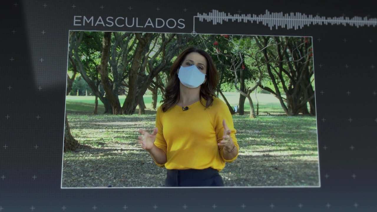 Adriana Araújo em reportagem de estreia no Repórter Record Investigação