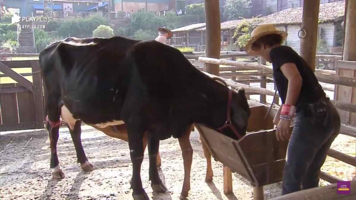 Lidi Lisboa bate um papo com a vaca