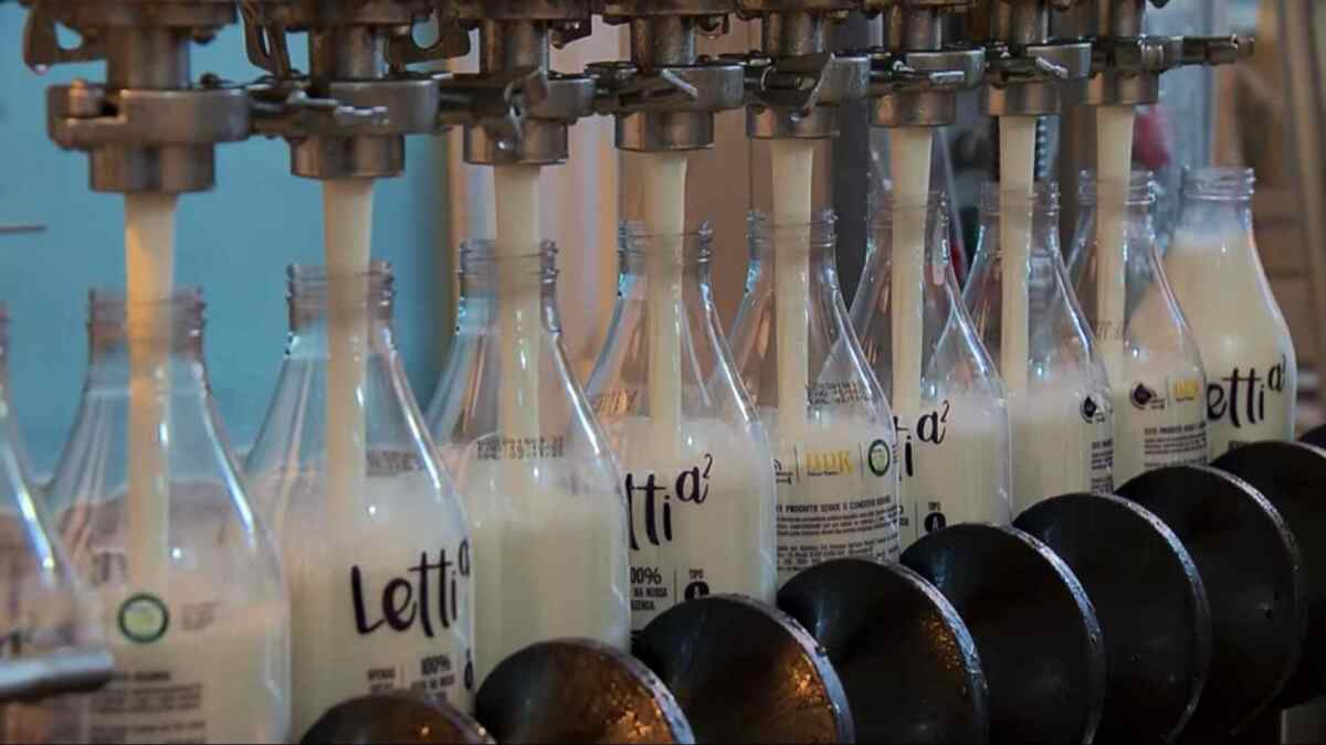 Produção do leite A2, destaque do Globo Rural deste domingo, 22/11/2020