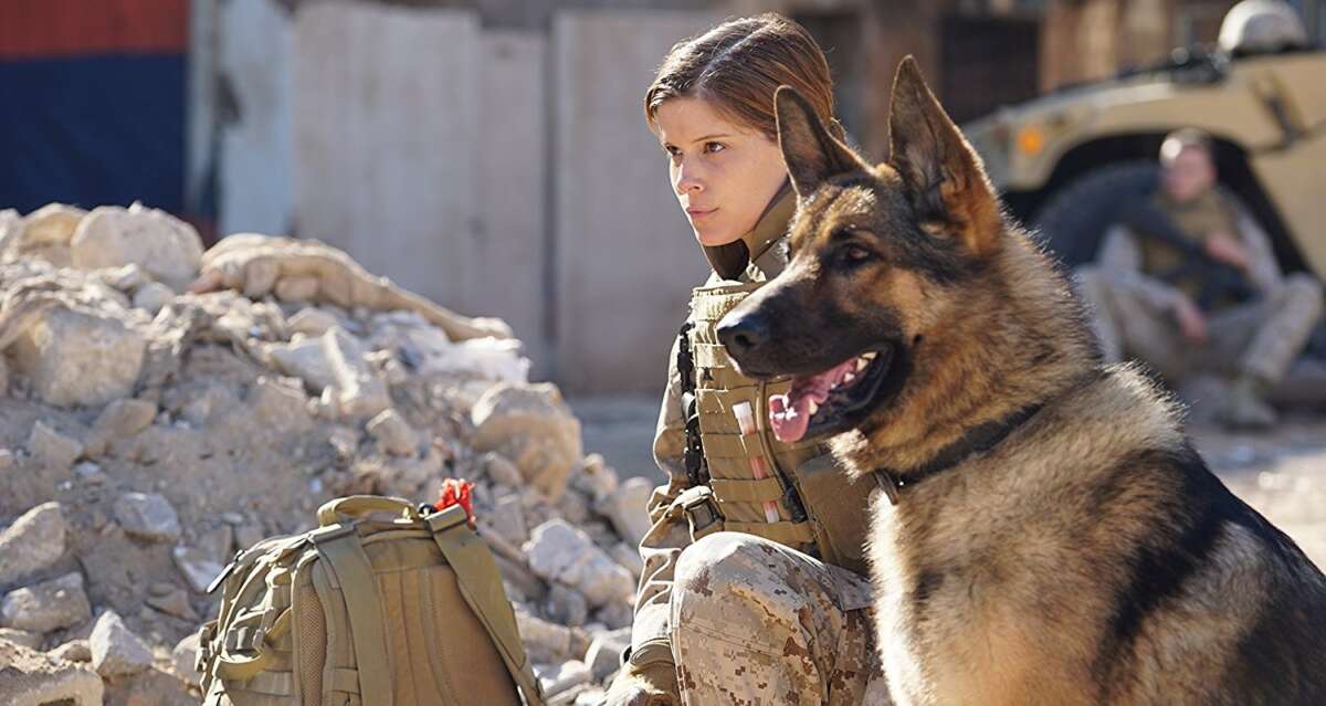 Cena do filme Megan Leavey, exibido pela TV Globo na Sessão da Tarde