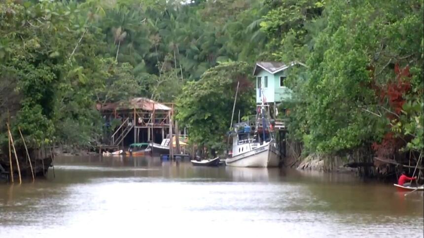 Agrofloresta, um dos destaques do Globo Rural