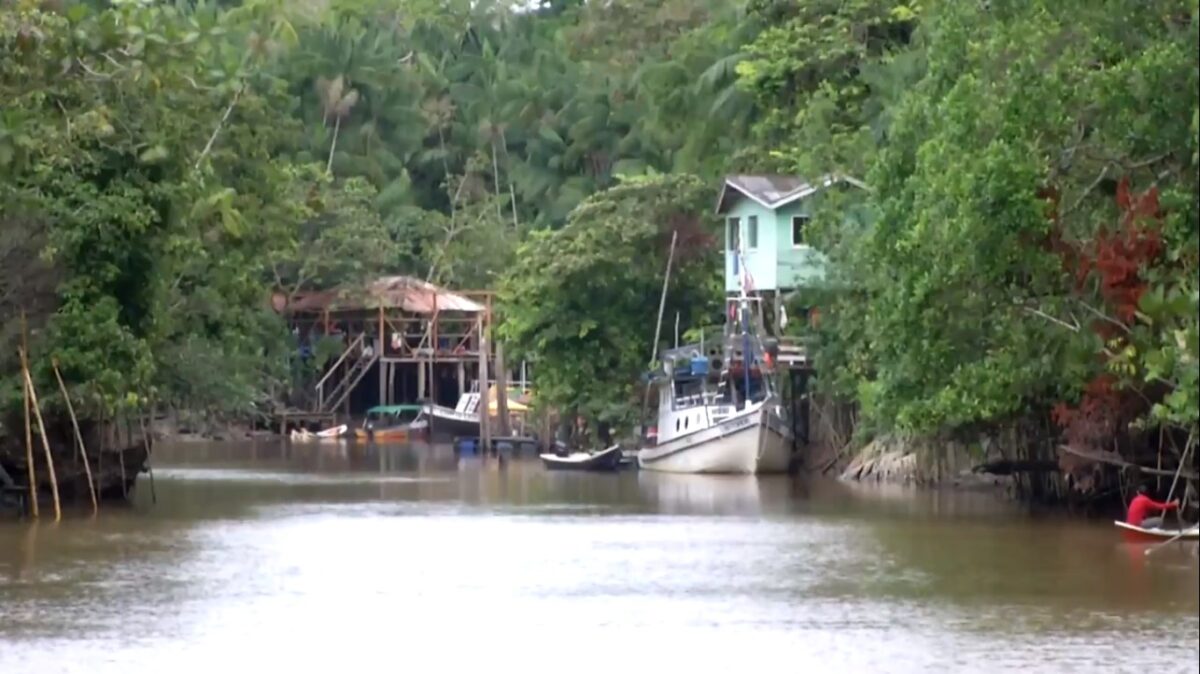 Agrofloresta, um dos destaques do Globo Rural
