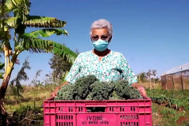 Pequenos agricultores no destaque do Globo Rural