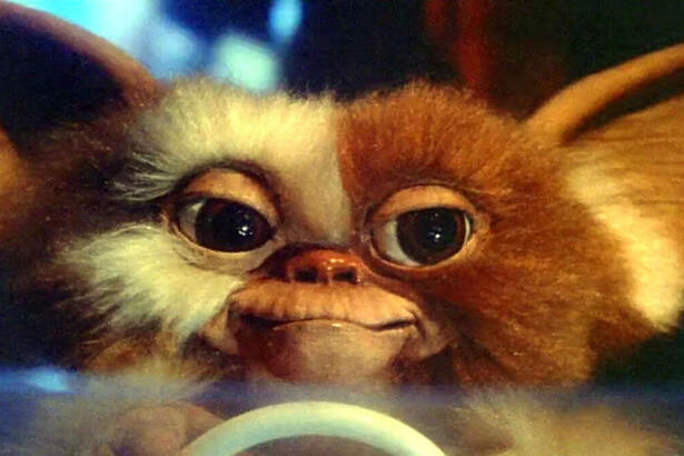 Trecho do filme Gremlins, exibido pela TV Globo na Sessão da Tarde