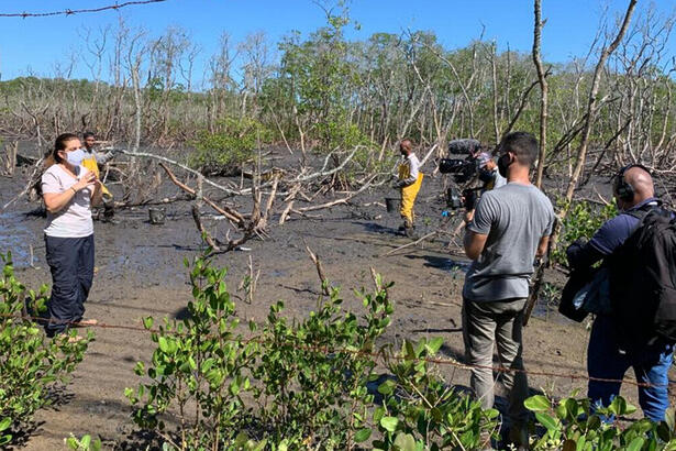 Bette Lucchese durante gravação nos manguezais cariocas para o Globo Repórter