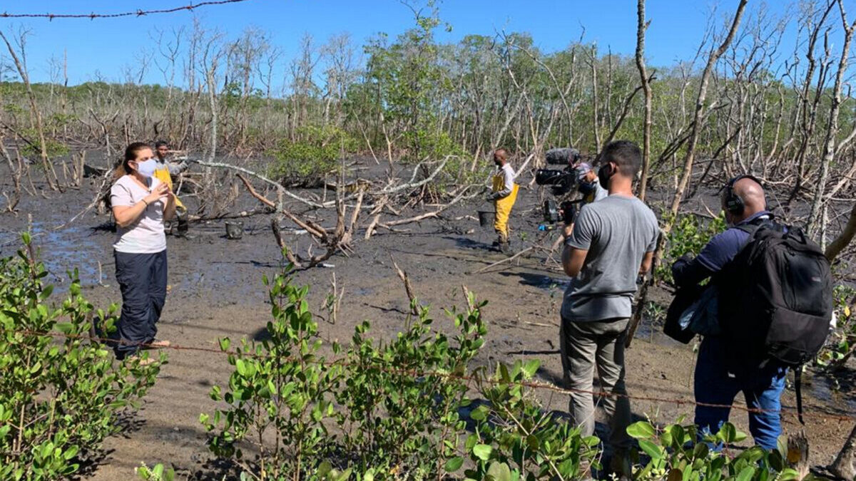 Bette Lucchese durante gravação nos manguezais cariocas para o Globo Repórter