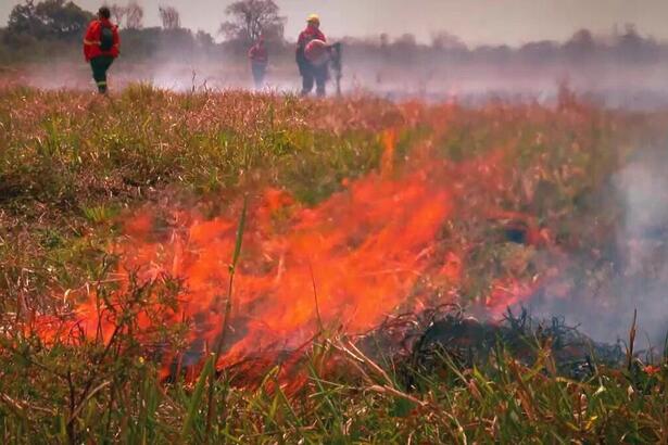 Bastidores do Profissão Repórter no Pantanal