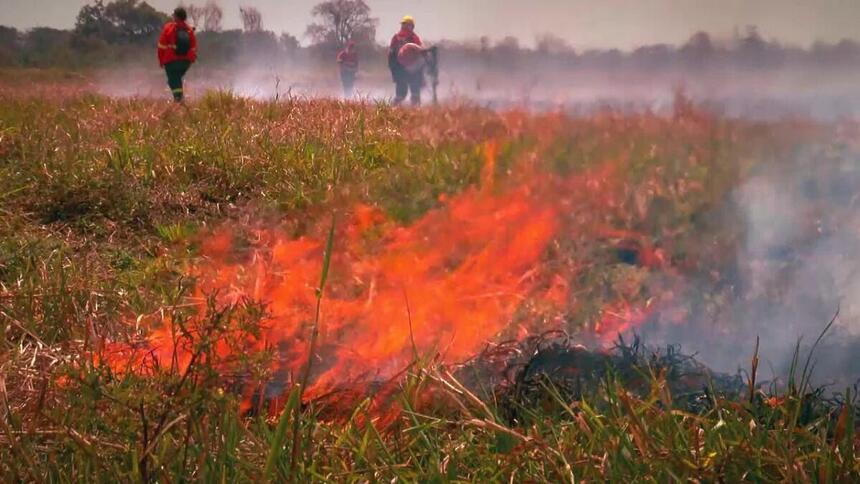 Bastidores do Profissão Repórter no Pantanal