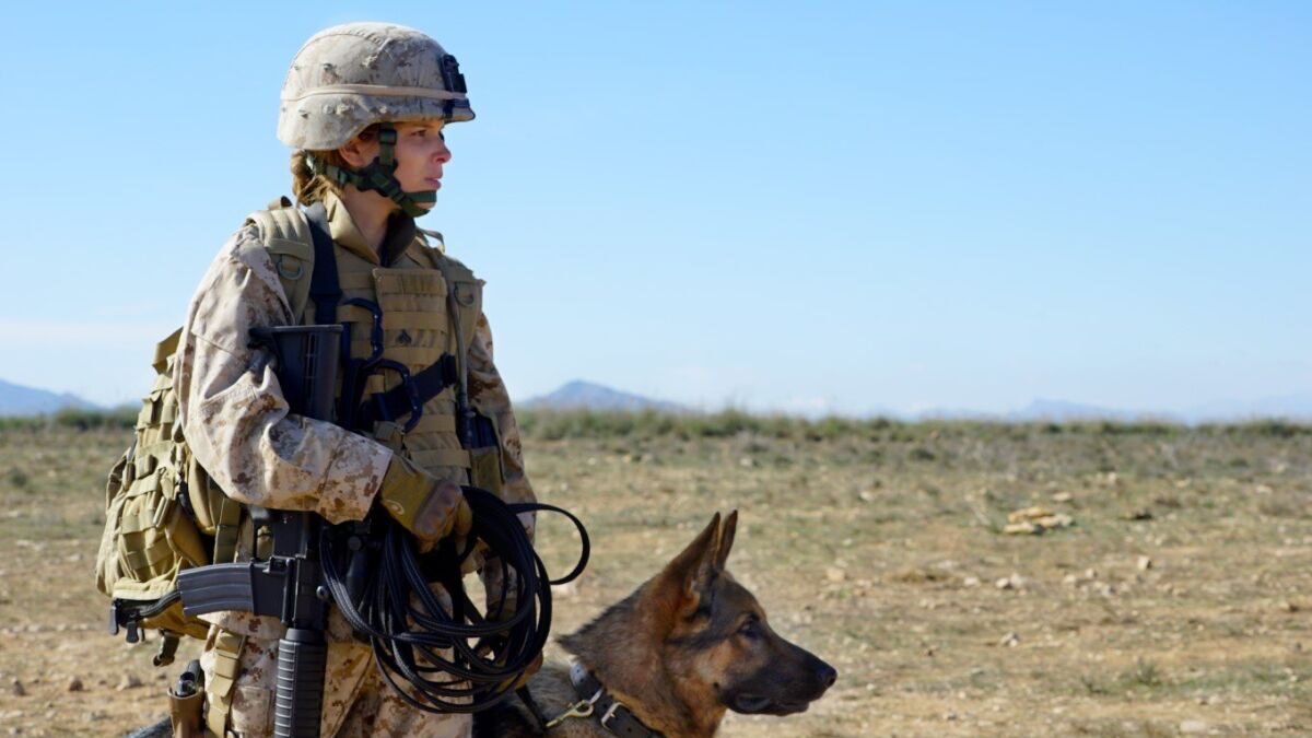 Trecho do filme Megan Leavey, exibido pela TV Globo na Sessão da Tarde