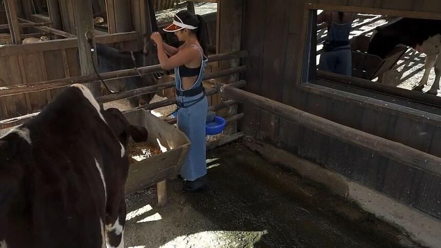 Mileide acordou bem emotiva nessa manhã em A Fazenda 13. Enquanto cuidava das vacas a influenciadora chorou e desabafou sobre seus amigos não acreditar que ela volte da roça.