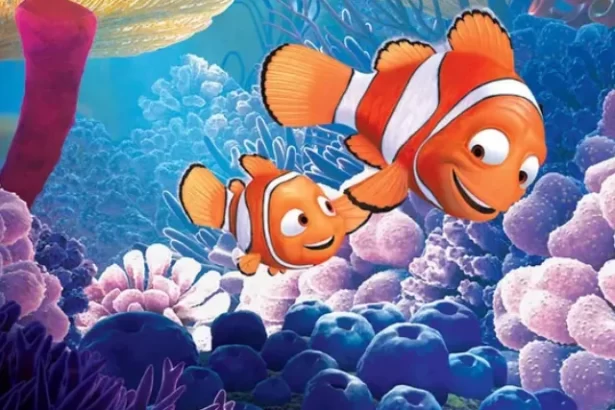 cropped-procurando-nemo.webp