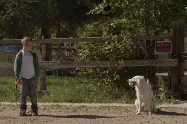 Trecho do filme Uma Aventura E Tanto, exibido pela TV Globo na Sessão da Tarde