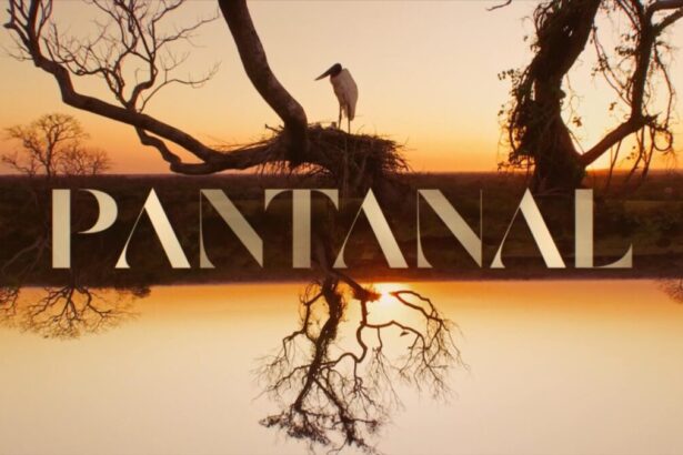 Logo da novela Pantanal, remake da TV Globo em 2022