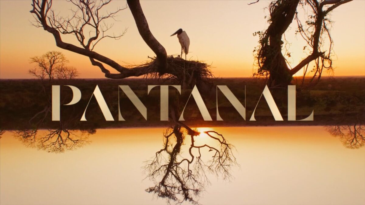 Logo da novela Pantanal, remake da TV Globo em 2022