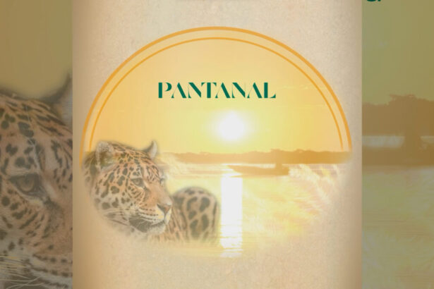 Logo do single da abertura de Pantanal