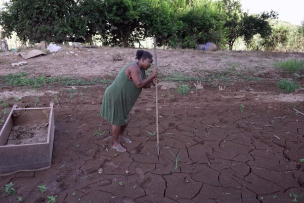 Trecho do Profissão Repórter sobre a vida da população ribeirinha, exibido em 19 de abril