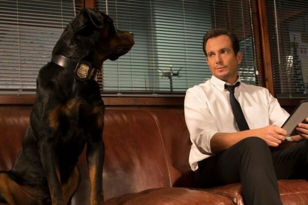 Will Arnett, ao lado de um cachorro sentado no sofá, em trecho do filme Show Dogs: O Agente Canino, exibido pela Record TV