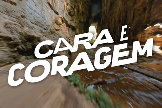 Logo da novela Cara e Coragem