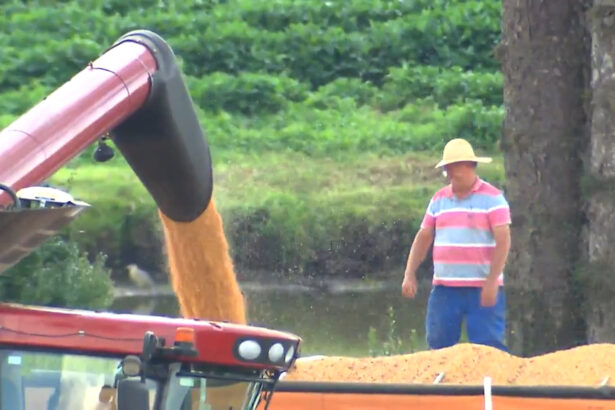 Agricultor colhe grãos com uma máquina em reportagem do Globo Rural do domingo, 29 de maio