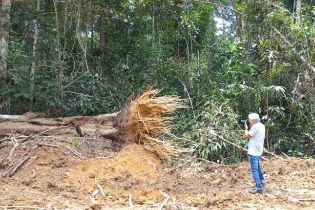 Fernando Cabeira em bastidor das gravações da Amazônia, na GloboNews