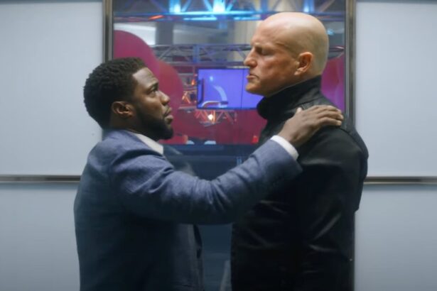 Kevin Hart e Woody Harrelson juntos em cena de O Homem de Toronto