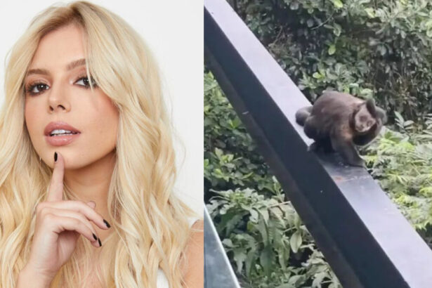 Giovanna Lancellotti com o dedo no queixo, séria, de camisa branca durante ensaio fotográfico; macaco na varanda da atriz