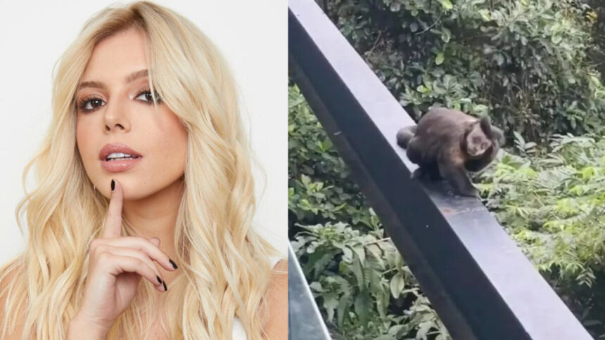 Giovanna Lancellotti com o dedo no queixo, séria, de camisa branca durante ensaio fotográfico; macaco na varanda da atriz