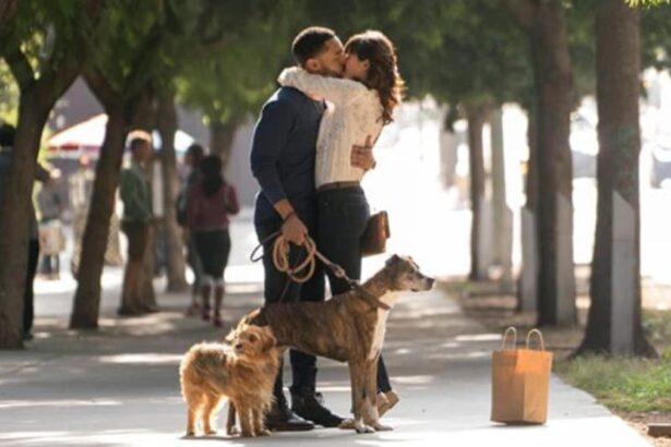 Trecho do filme Nossa Vida com Cães, exibido pela TV Globo na Sessão da Tarde