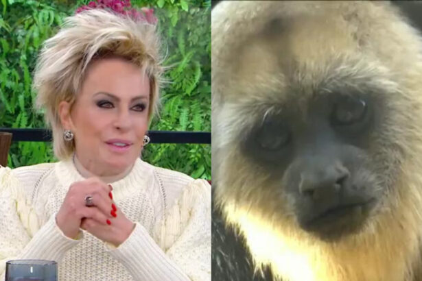 Ana Maria Braga em montagem com o macaco do VT errado no Mais Você