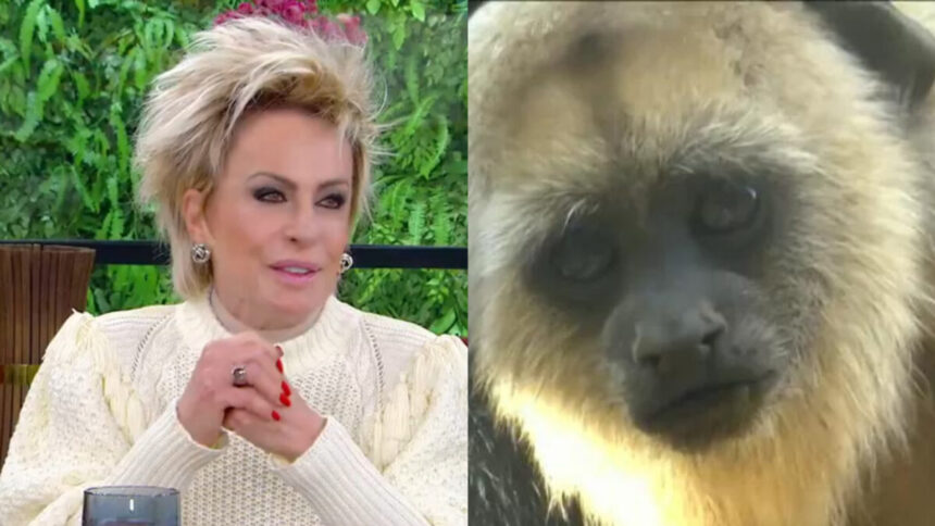 Ana Maria Braga em montagem com o macaco do VT errado no Mais Você