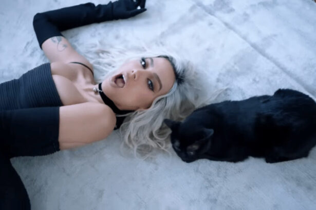 Anitta loira com um gato preto ao lado