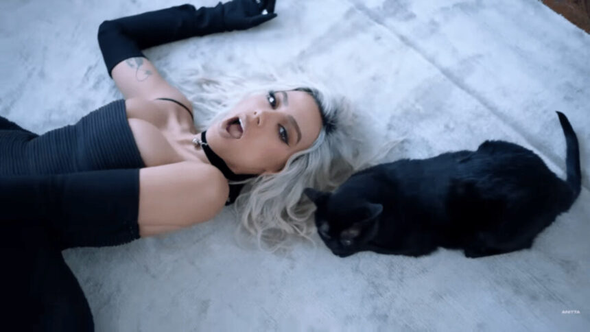 Anitta loira com um gato preto ao lado