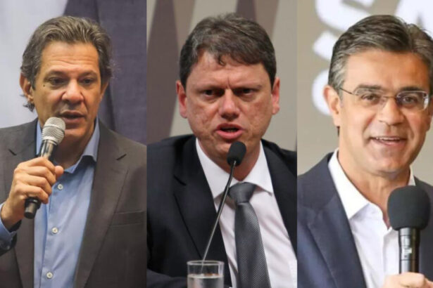 Fernando Haddad, Tárcisio de Freitas e Rodrigo Garcia em uma montagem