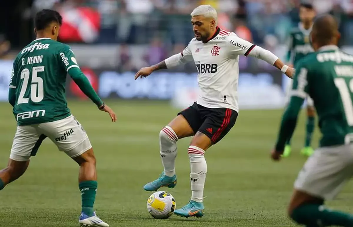 Trecho da partida entre Palmeiras e Flamengo pelo Brasileirão