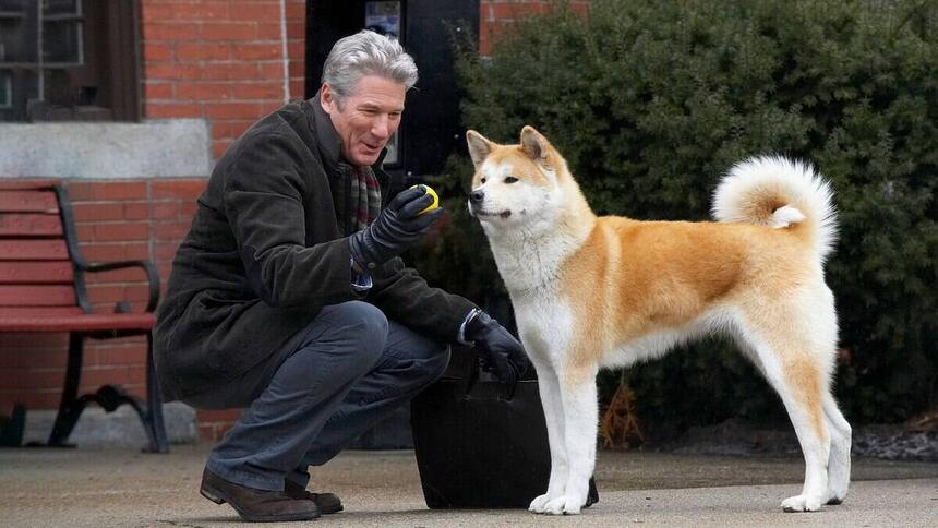 Richard Gere ao lado de um cachorro em trecho do filme Sempre Ao Seu Lado